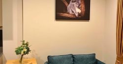 OKA HAUS สุขุมวิท 36 มีรถรับส่ง BTS ทองหล่อ ทุกวัน