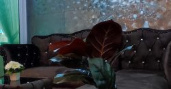 Regent Home บางนา ขนาด 28 ตารางเมตร 1 ห้องนอน 1 ห้องน้ำ