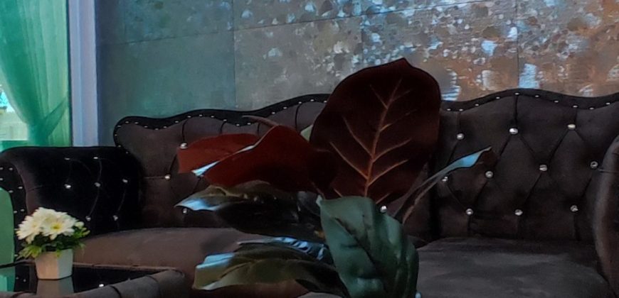 Regent Home บางนา ขนาด 28 ตารางเมตร 1 ห้องนอน 1 ห้องน้ำ